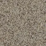 | Cobbled Beach - 51001