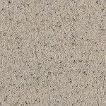 | Leopard Gray - 50006