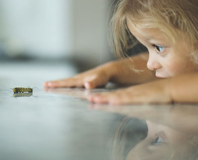 curiosity