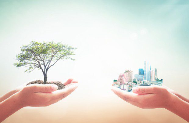 What is an EPD, and how is one created? 