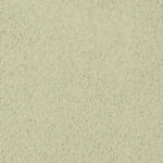 | Light Grey