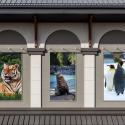 Are Rainscreen Systems Appropriate In My Climate?