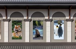 Are Rainscreen Systems Appropriate in My Climate 2